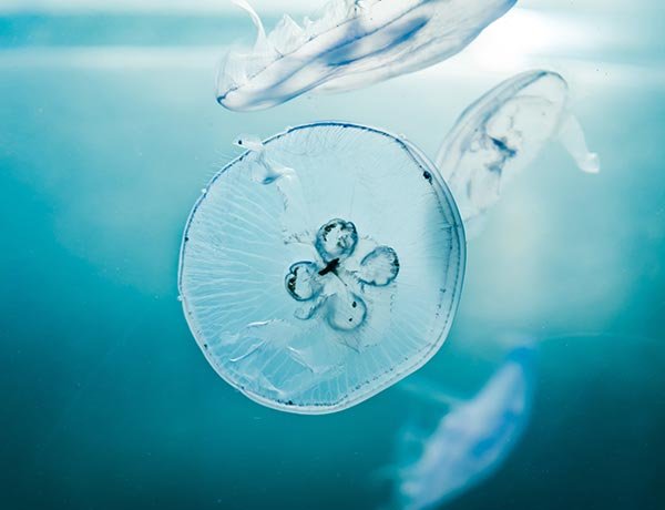 Contact Willian Justen De Vasconcellos ASKGjAeIY U Unsplash
