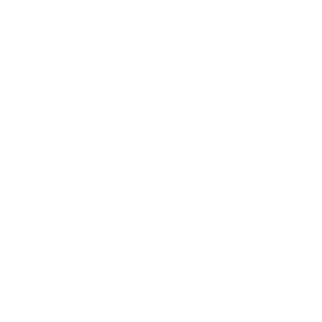 logo import final